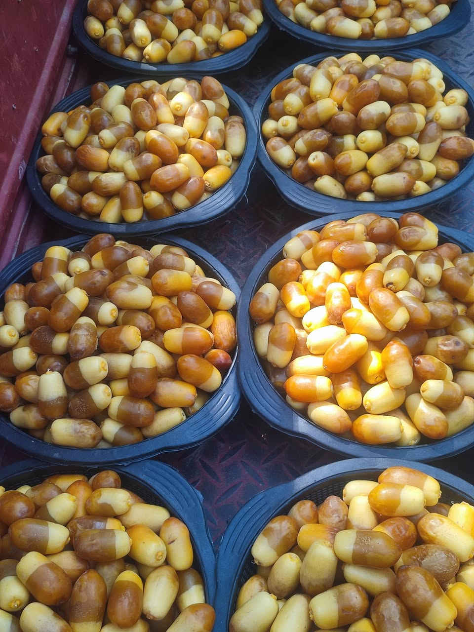 رطب • برحي • كربلاء الحسينيه