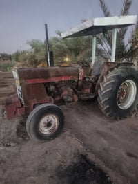 عنتر ناش • بدون تحويل • بابل