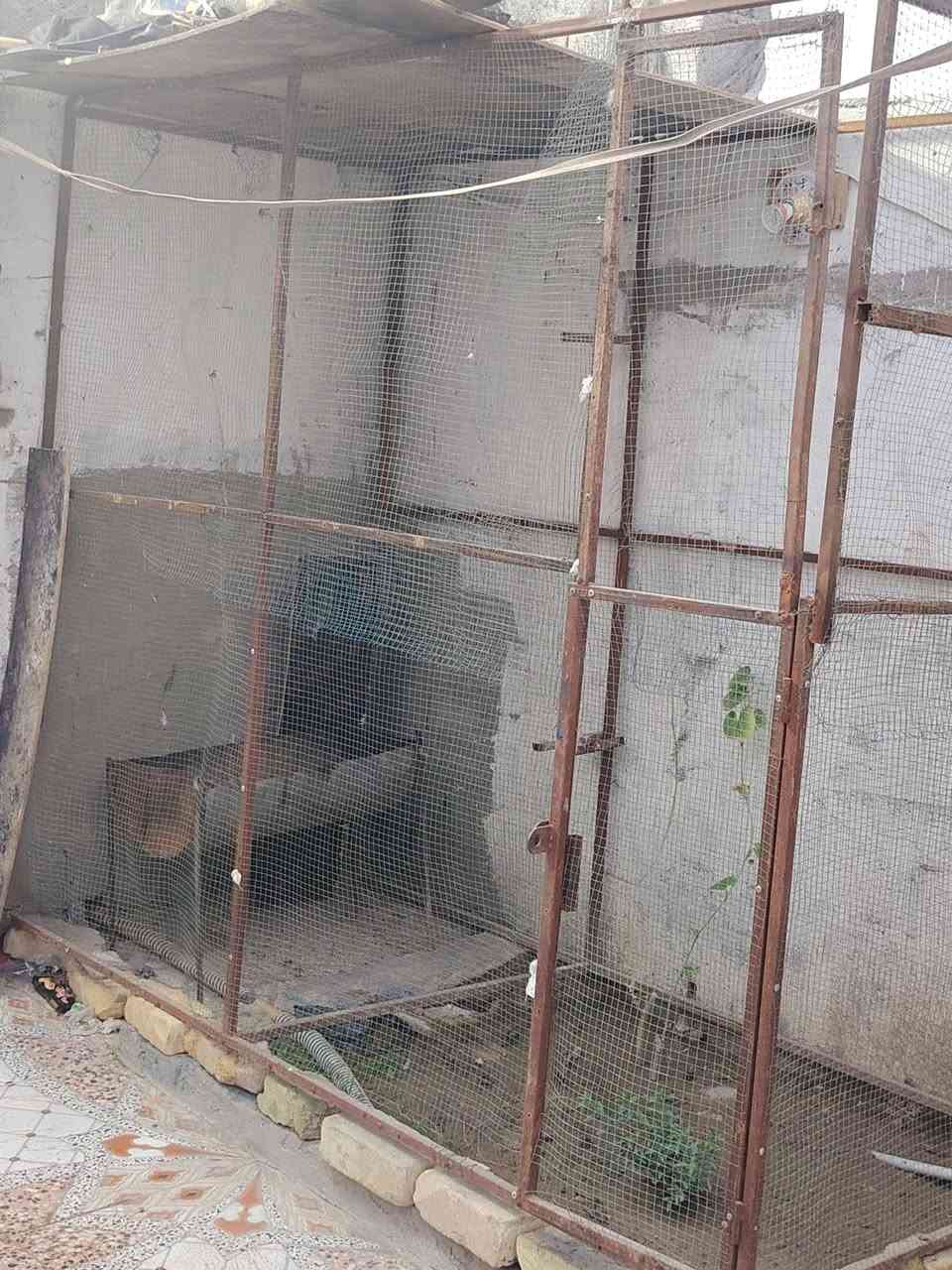قفص حديد كبير ومبردات وزغيره جديده البيع ***********

