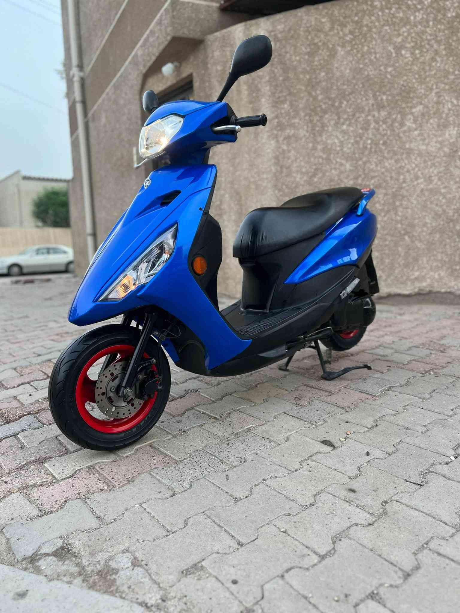 اكزز • اوراق • نظام ايكو