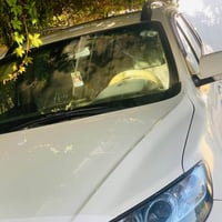 سنتافي • ٢٠١٢ • ٧ راكب