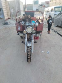 ستوته • ٢٠١٨ • اوراق ضايعه