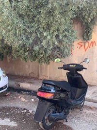 فراشة