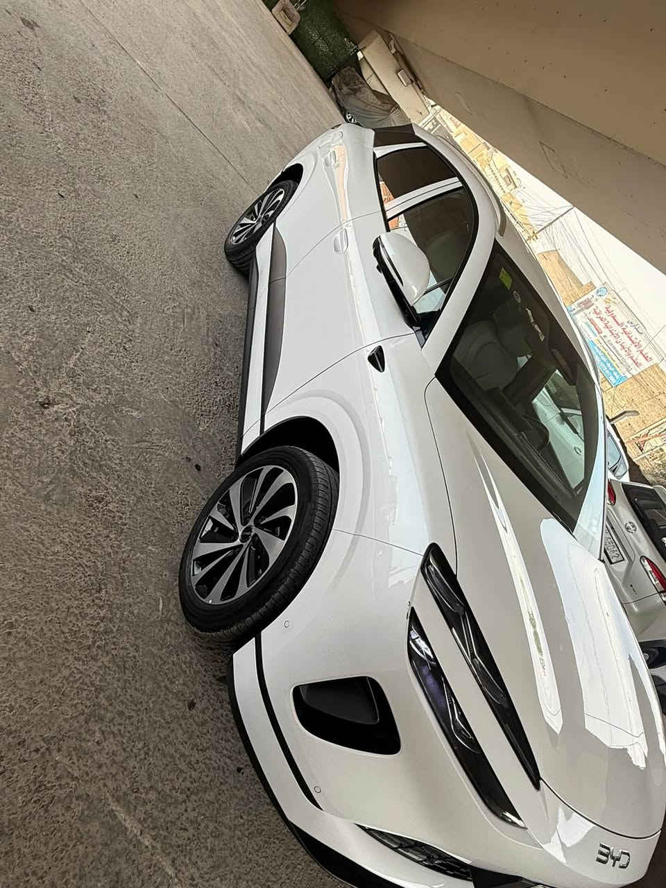 بايد سيلون 6 • ٢٠٢٥ • كفالة عامه