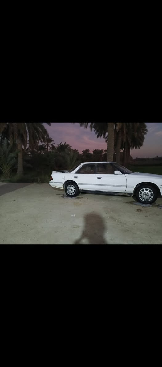 سلام عليكم مارك شطح بيه قاصرين سنويه منتهيه ب19  ب ب اسم كرايبي متوفي ابيع مكاتبه فقط وكفلك مكينه وكير  ما بي كصه  اكفلك اصواليات  مكينه 2500  وكير وتخم تاير وحدايه نص عمر و كهربائيات شغاله سعره 18 وبيه مجال مكاني ناصريه قلعه سكر  ***********0
