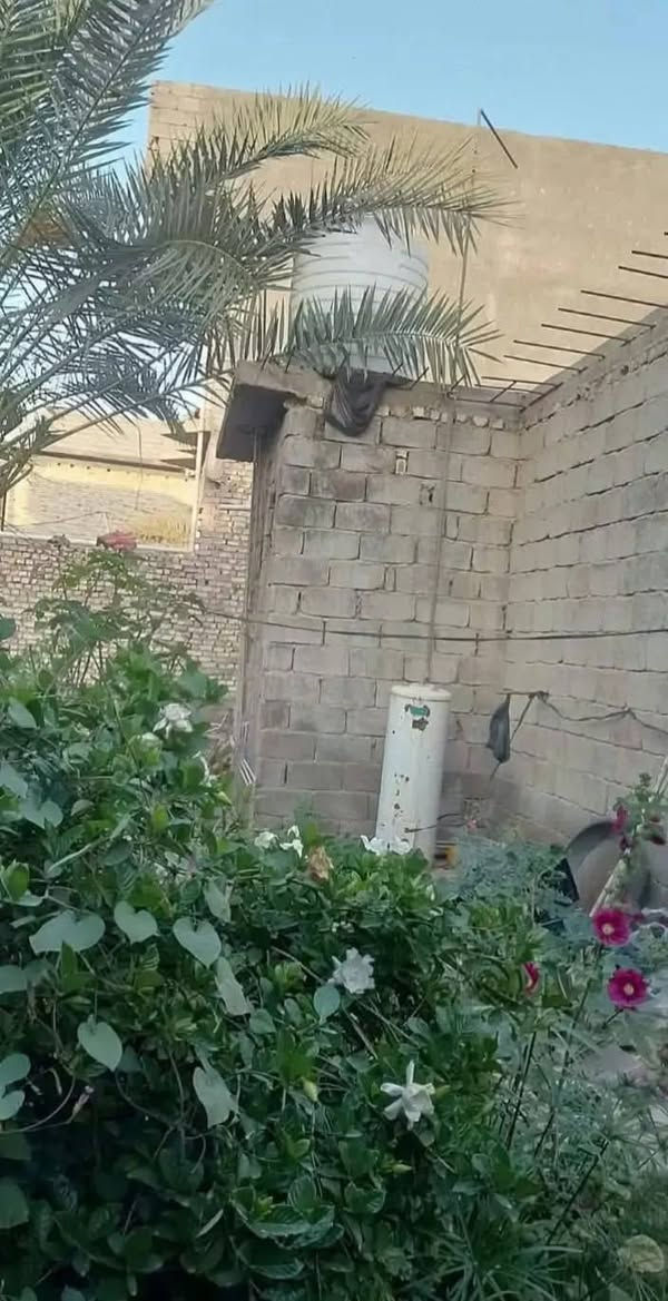 دار للبيع المساحة أكثر من ٣٥٠ متر بعقوبة منطقه شفته بنص المنطقه ركن الشارع تبليط يحتوي على ٢غرفه وحده ٤×٦ والثانيه ٤×٥مطبخ ٤×٥ صاله داخليه ٥×٥ الهول٤×٤ وحديقه ***********
