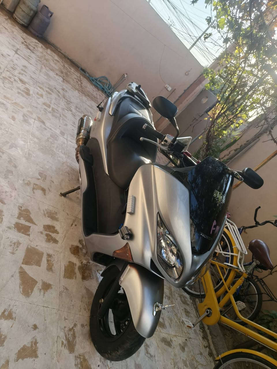 فورزە كرستال • ٢٥٠ • ٤ مودات