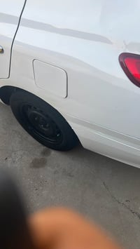 صني هندي • ٢٠١٩ • زيونة