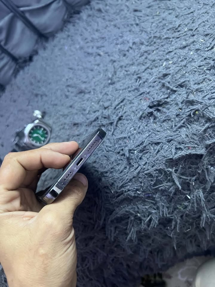 ايفون ١٢ برو ماكس • ١٢٨ • فيها فطر