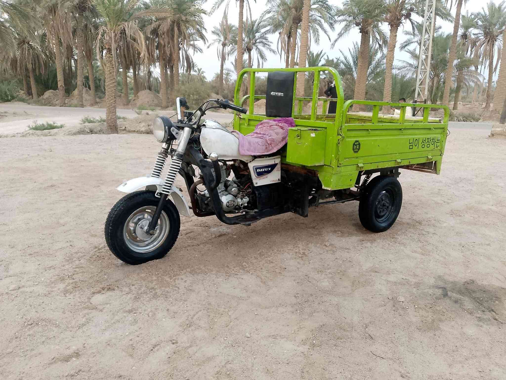 ستوته دايون • موديل ٢٠١٥ • أوراق ضايعة
