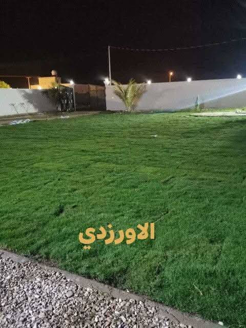 ياالله الهم صلي عله محمد والي محمد متابعين مع رجوع الموسم وتزين الحديقت بيتك باجمل الورود والحجر الطبيعي والين الاحمر كل ماهو عليك بس تتصل والباقي علين وانحنه نظيف المسات حديقتك الجميله الاستفسار الاتصال عله الرقم التالي *********** موقعنه حله حي الصحه مقابل شارع الكورنيش مقابل جسر الجنسيه
