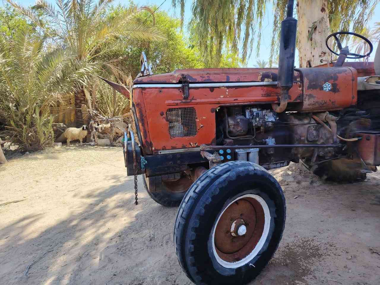 سلام عليكم مكينة عنتر البيع موديل 83مكينة بدون مداور جاهزة من كير وبم ومحرك وجهاز رفع وباتري جديد وبريك مكينة نكرة سلف  السعر 3500 وبيه مجال لاتصال على الرقم ***********مكان ديوانية غماس
