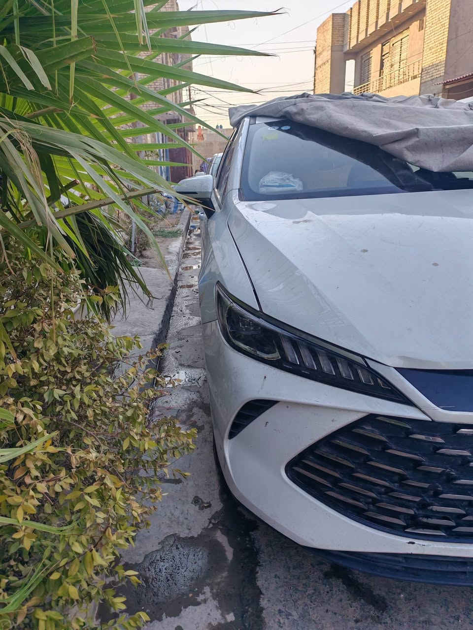 السلام عليكم بي وايدي للبيع سعر 18 و 500 
فئه جن بلاص  سياره زيرو مرقم كامله بسمي بعده بدهن شركه ما مبدل ولا مغسوله بتراب شركه داخل ابيض جلد ساره صار بيه شويه بارد بل صندوك عفته ع حطته ما مصلحه مبينه بل صور ناشر فيديو كامل رقم ***********
