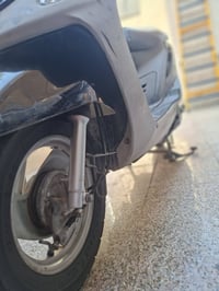 ماكس منغولي • نضيفة • مكفولة