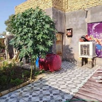 بيت زراعي • الشفيج مقابل البراز • ٢٥٥م