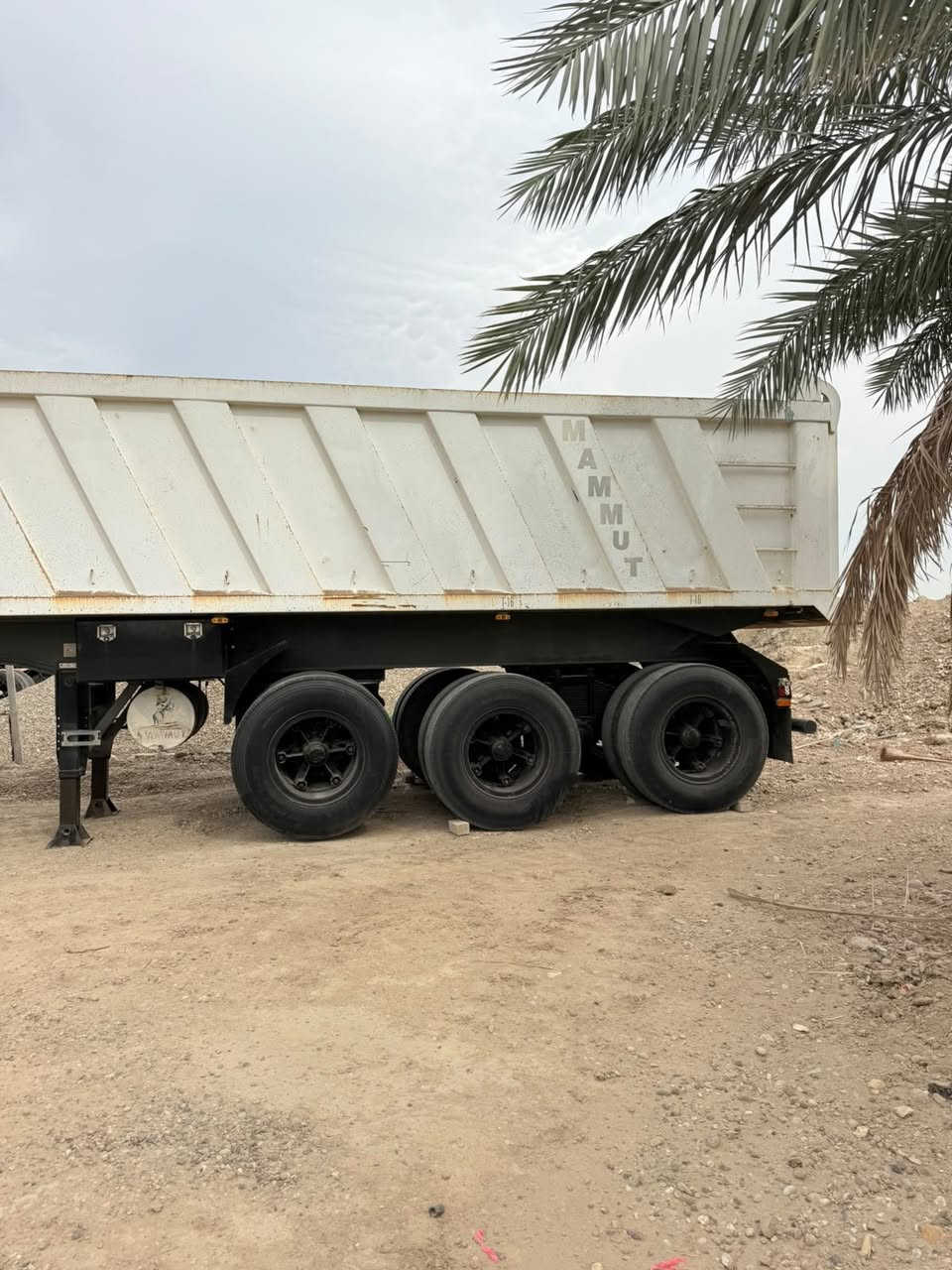 ماموت • اماراتيه • ٢٠٠٦