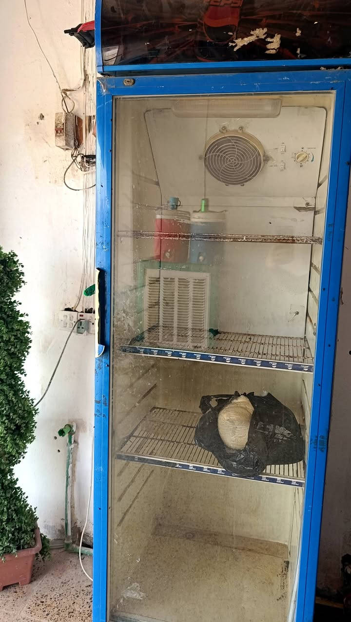 براد • فول بروده