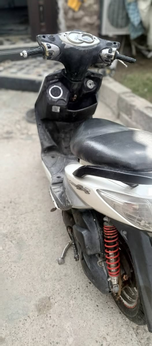 سكنس فحل • معدل • دشبول