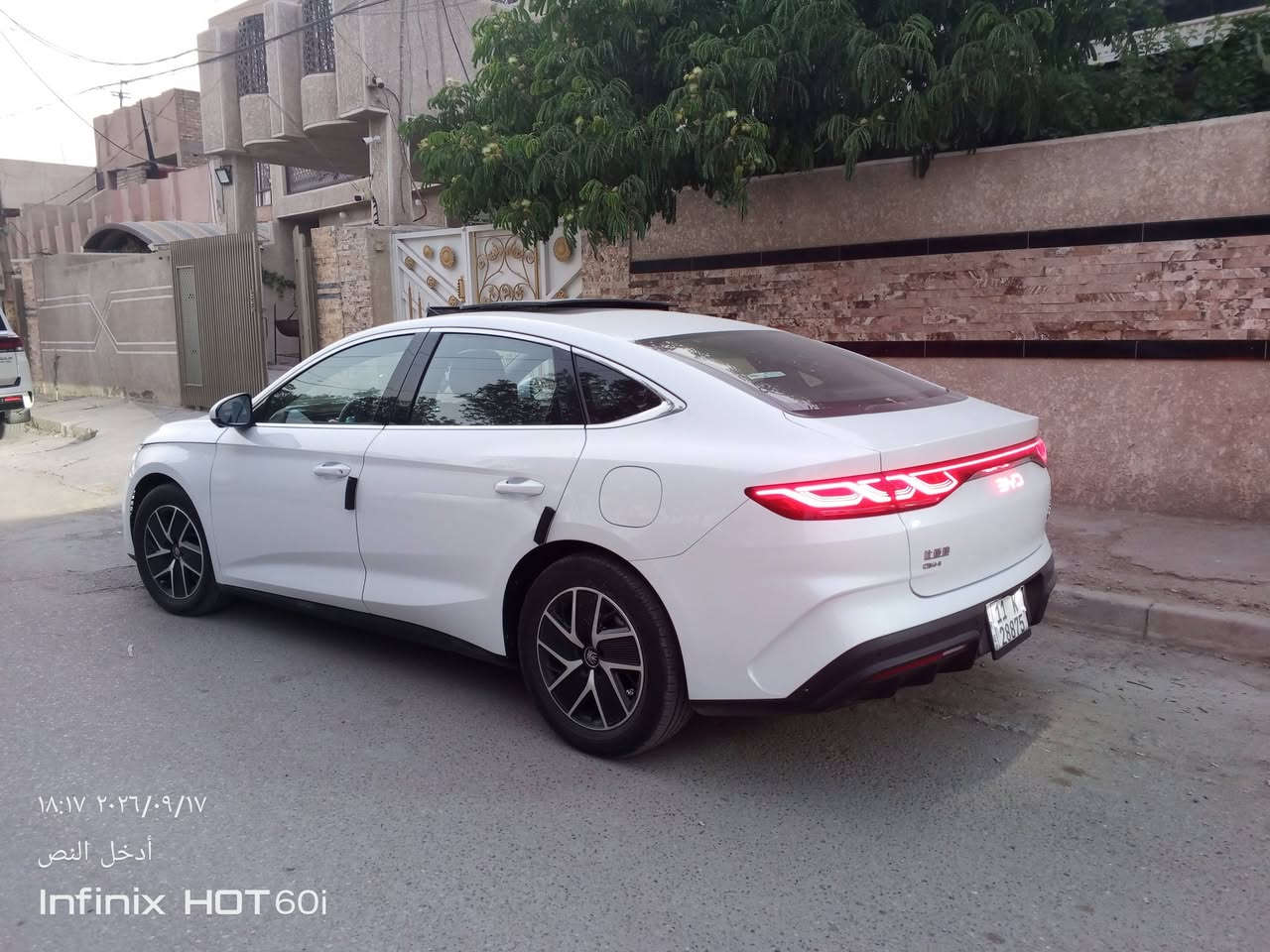 كنيل • ٢٠٢٤ • بغداد السيدية