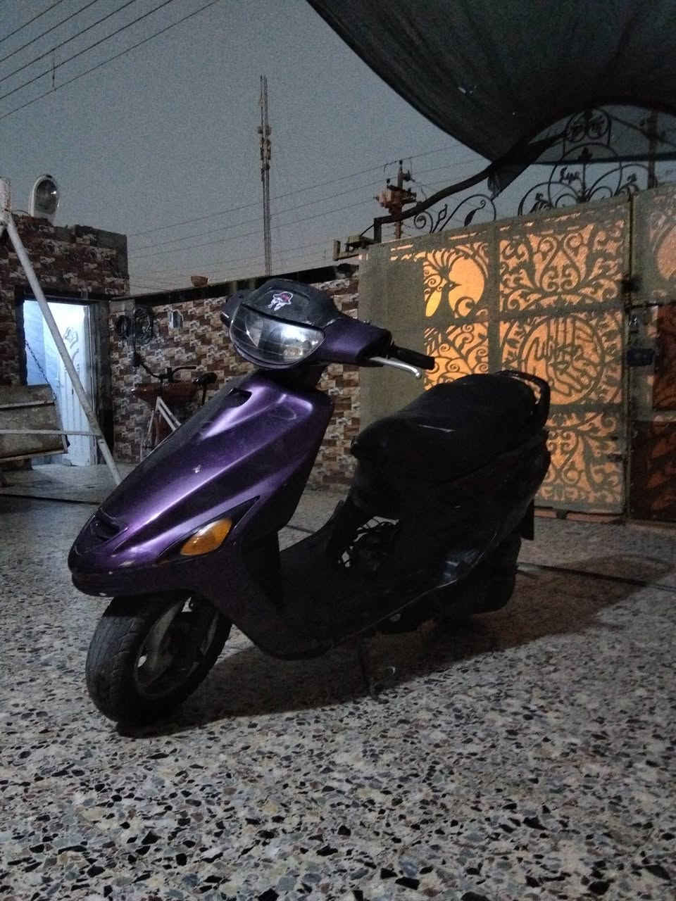 فراشه • بنفسجي • كهربائيات