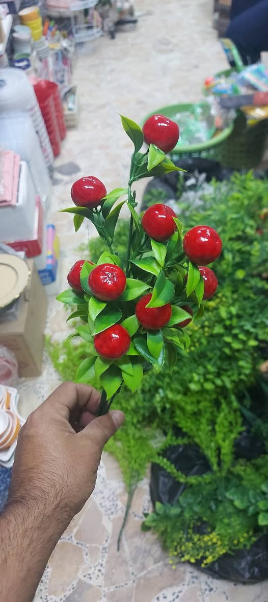 مواد منزليه • كمية محدودة • توصيل