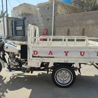 ستوته • ٢٠١٨ • شاصي مكفول