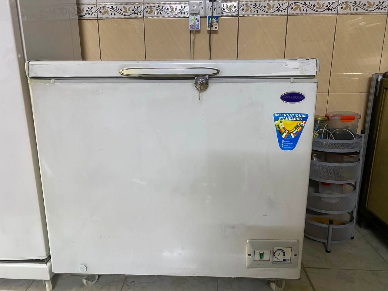 مجمدات اثنين 2 نضيفات مال بيت  كلها شرط ونضيفه اثنينهم السعر 450 العنوان كركوك ***********
