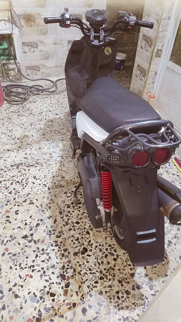 سكنس • نازله من رمبه • ٣ أشهر