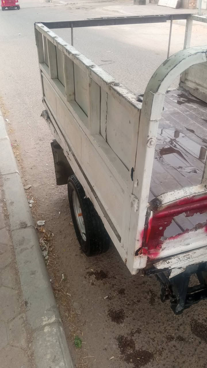 ستوته • قديمة • سنوية