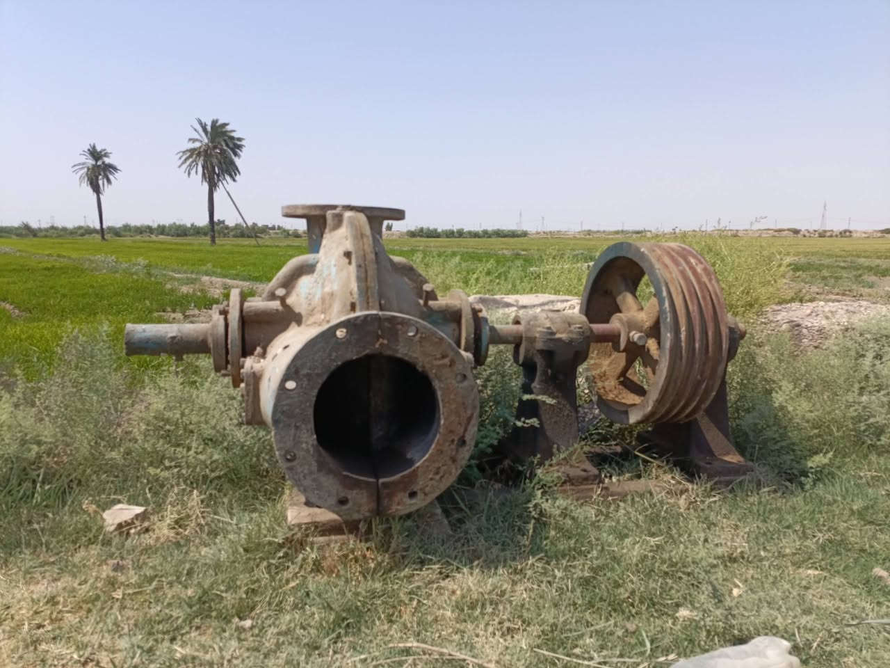 سلام عليكم خنزيه حجم 8*10مجفته مشتغله موسم واحد. جاهزه
رقم الهاتف /***********
