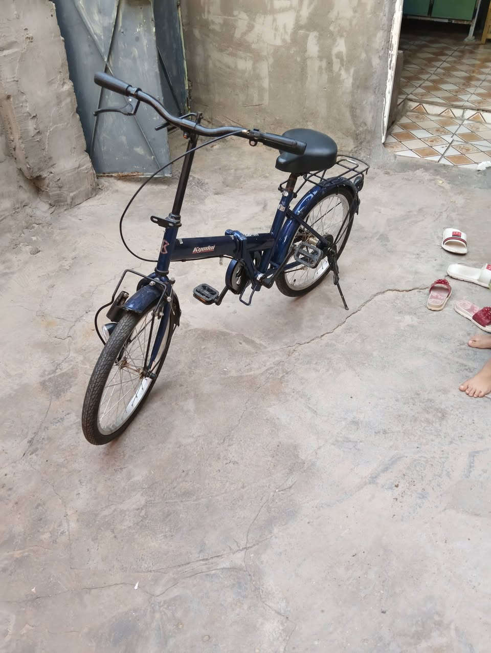 طوريج