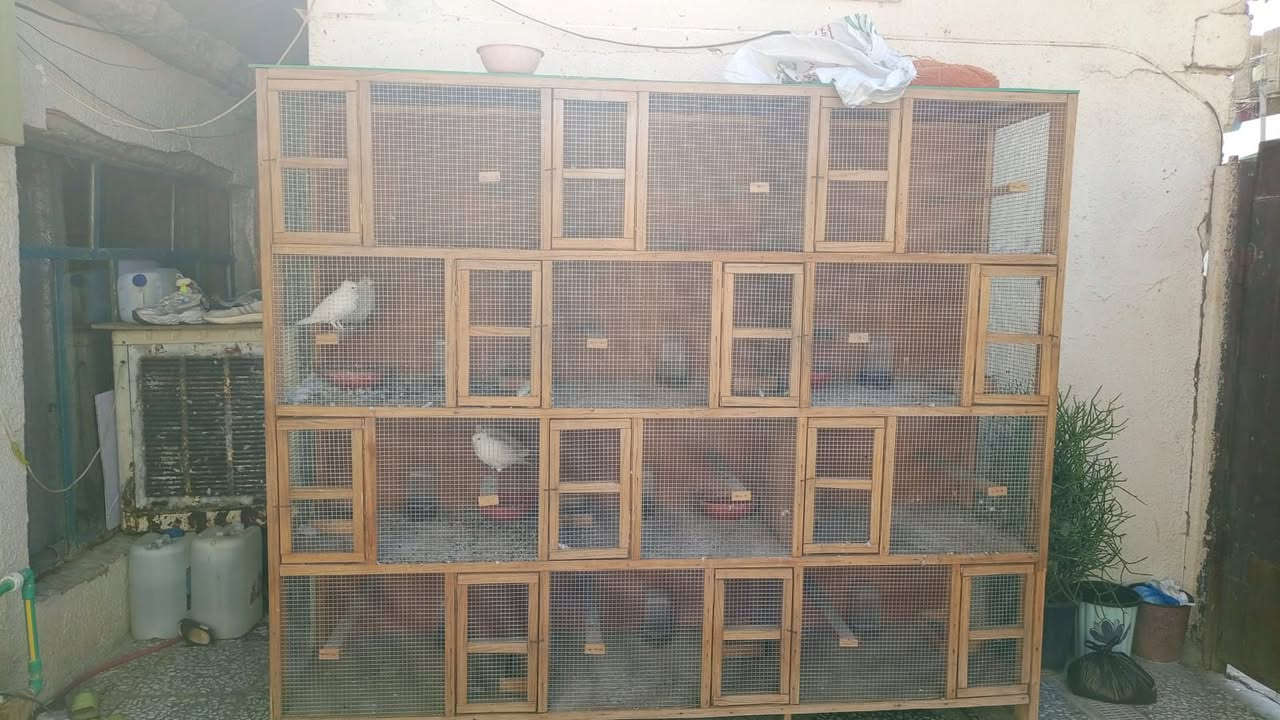 قفص نضيف عرضه ٣متر وطول ٢ونص ١٢خانه مكاني بغداد حي العامل تواصل ع رقم***********
