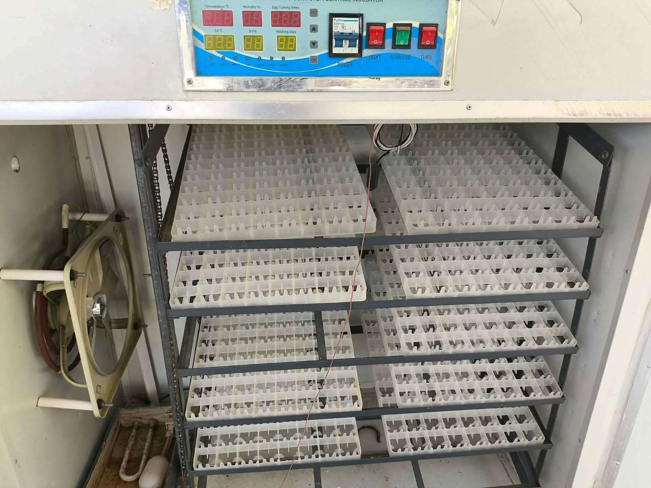 مفقس اوتماتيك الف بيضه للبيع‏‪***********‬‏
