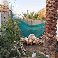 الرحمة المنطقة الثانية • ١٩٠م • غرفتين