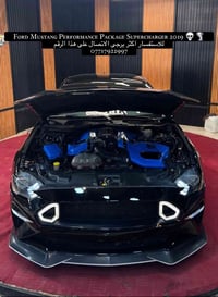 موستانغ • سوبر تشارجر • ٢٠١٩