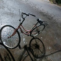 ياباني
