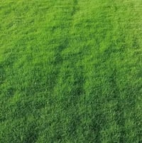 ثيل طبيعي • تسوية أرض • الديوانية والحلة