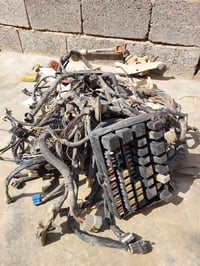 مكلف بالنشر تخم بطاين جنبي ودشبول وضفيره للبيع اتصل عل صاحبهن‪077-170-...