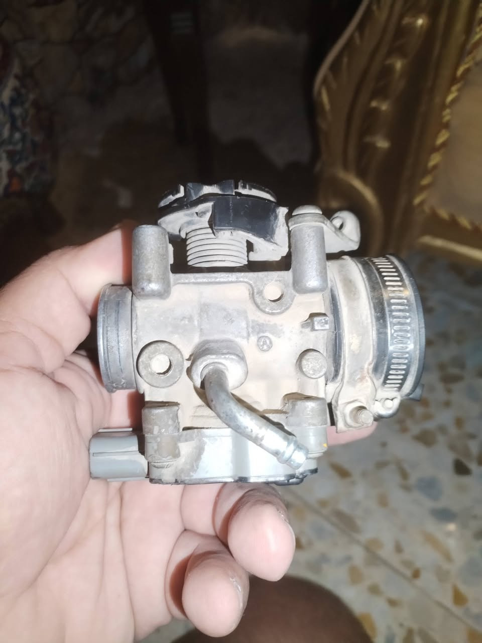 غراض سكنس فحل ***********

