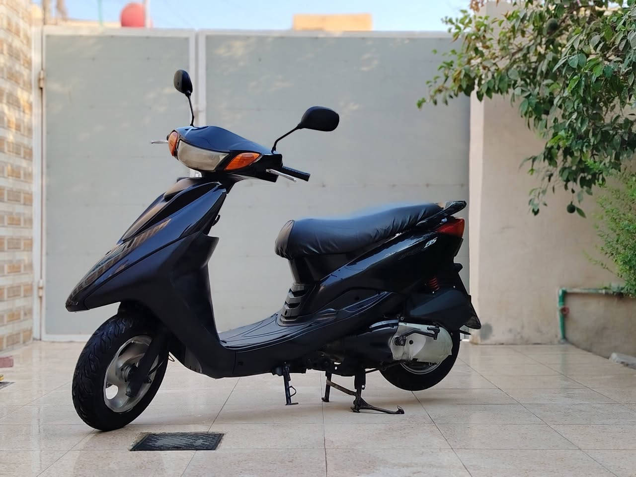 بريز ياباني • نظيفه • مراوس سكنس جبلي