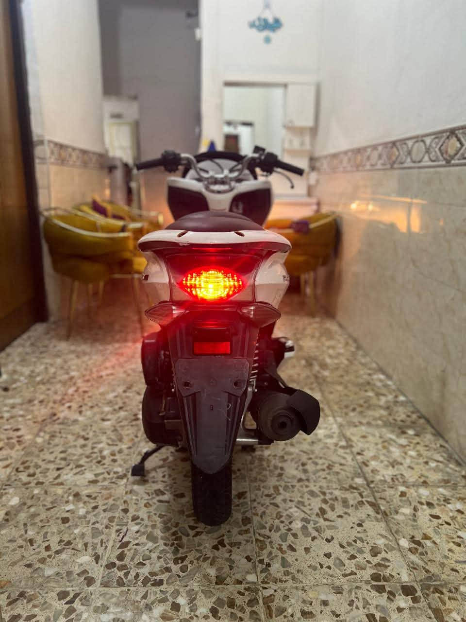 PCX • ياباني • اوراق كامله