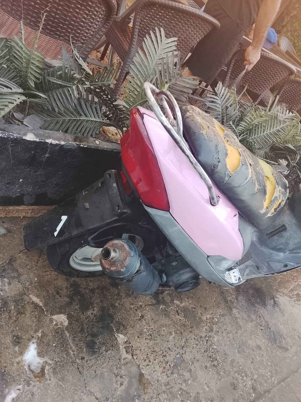 السلام عليكم عندي ماكس منغولي مجفتع وناقصهه بس كابريتي وباتري***********

