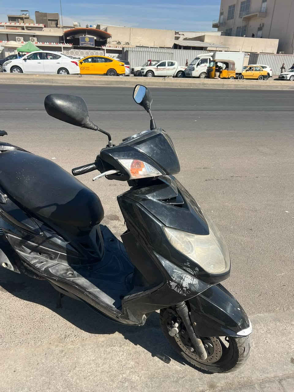 سكنس فحل • نوزل • ياباني