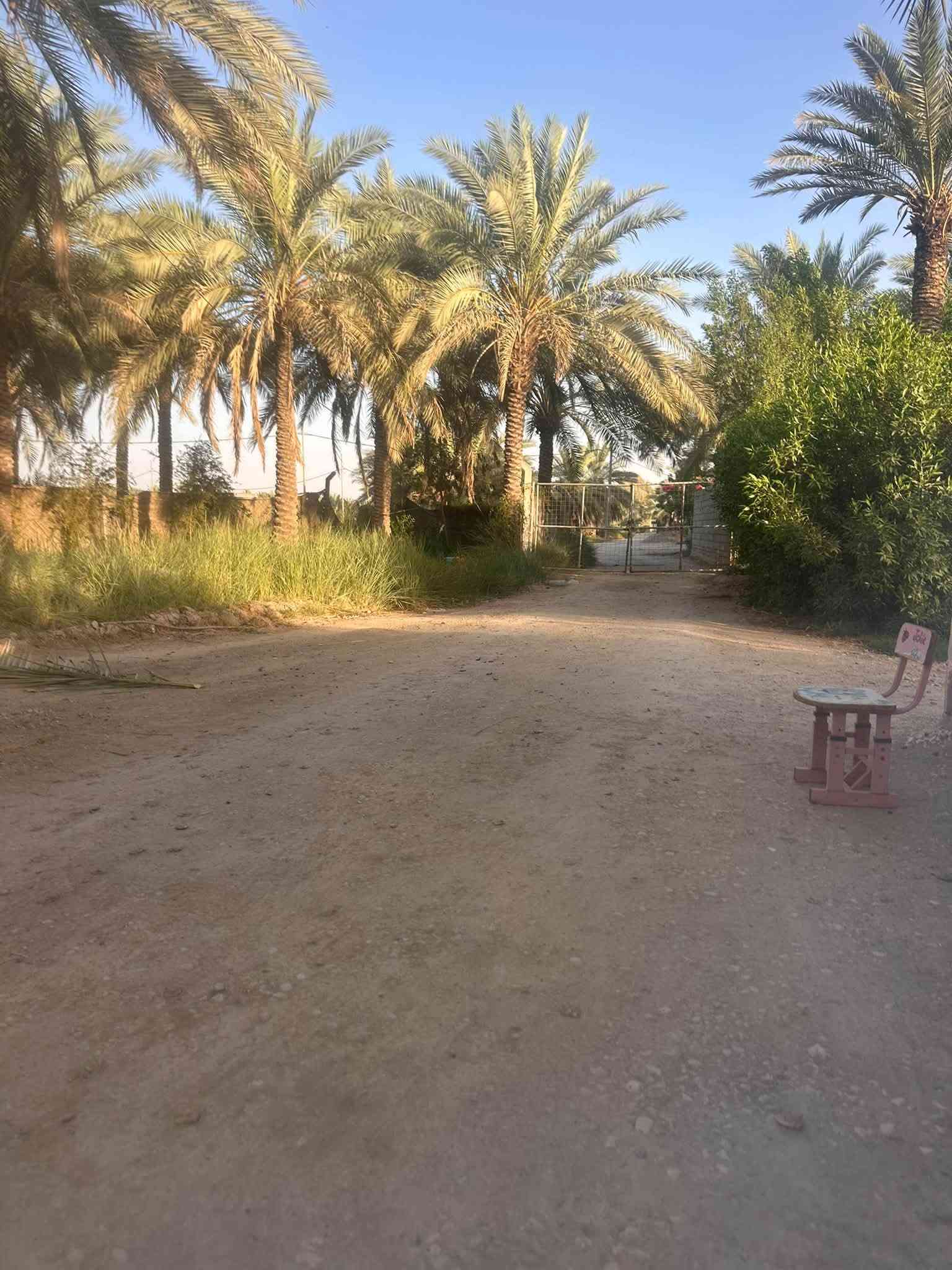 ٣ دونم • طابو زراعي • ١٢٠ نخلة