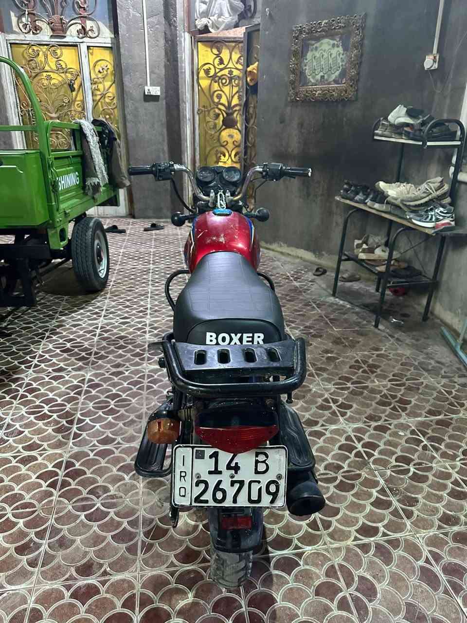 بوكسر • ٢٠٢١ • تنومه