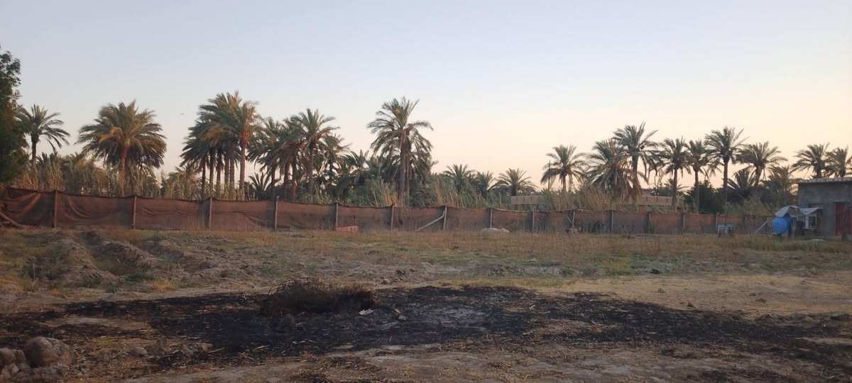 فرع المصلخ • دونم • مشتمل