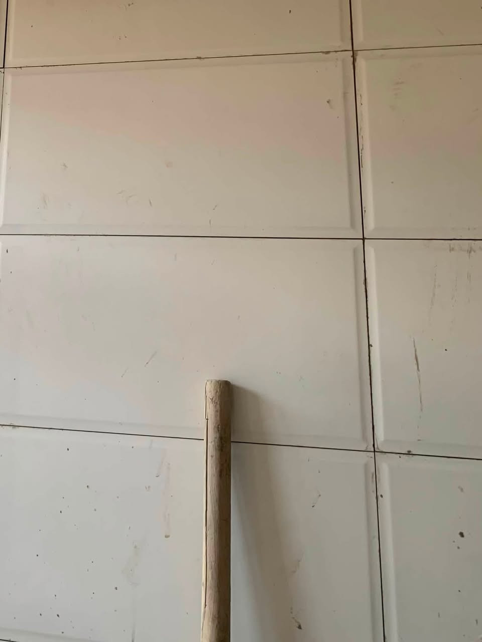 خلفه سراميك بورسلين جداري ارضي متفرغ حاليا *********** تصل وتدلل
