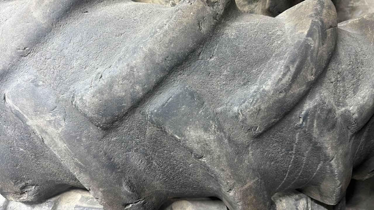 يوجد تايرات زراعيه مستعمله للبيع العنوان سامراء للتواصل على الرقم ***********
