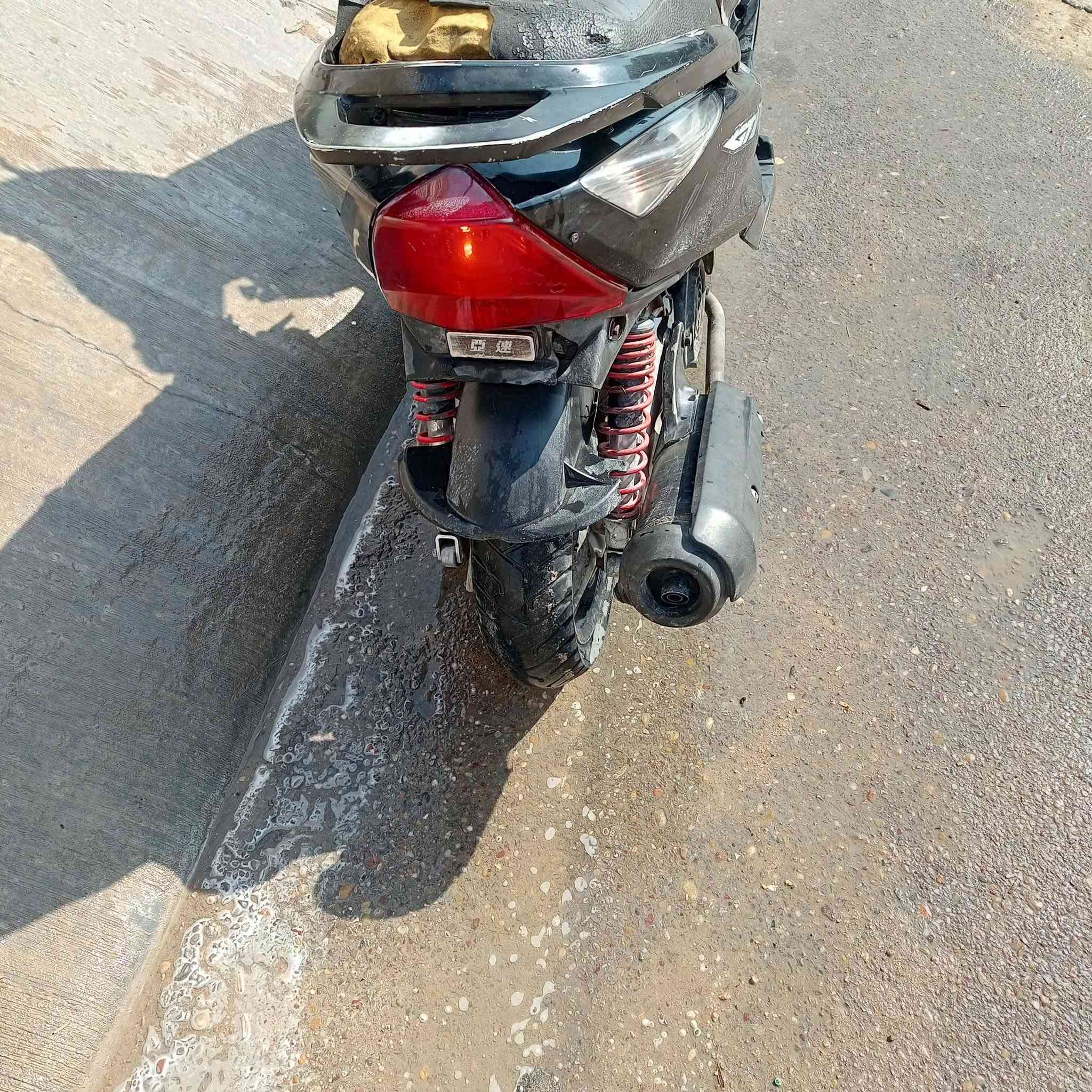 ثعلب • دراجة • للبيع