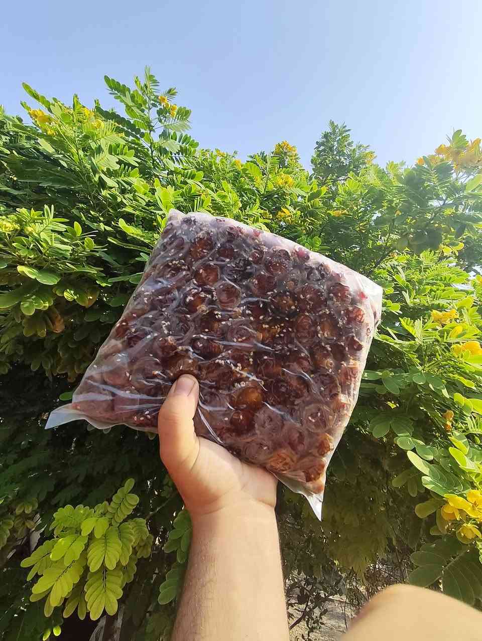 تمر برحي • شغل بيت درجة أولى • توصيل كل العراق